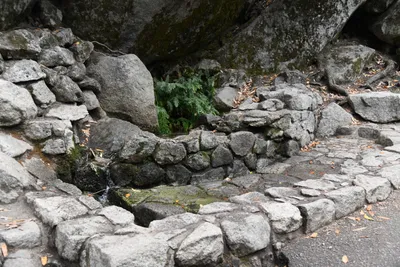 DSC_4714 (Large).JPG